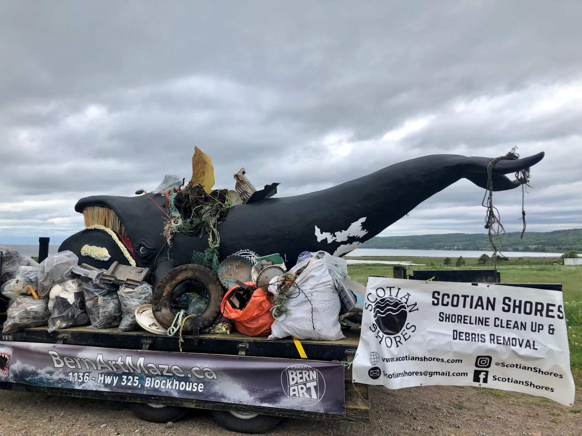 Giant right whale sculpture on the move for shoreline cleanups - image