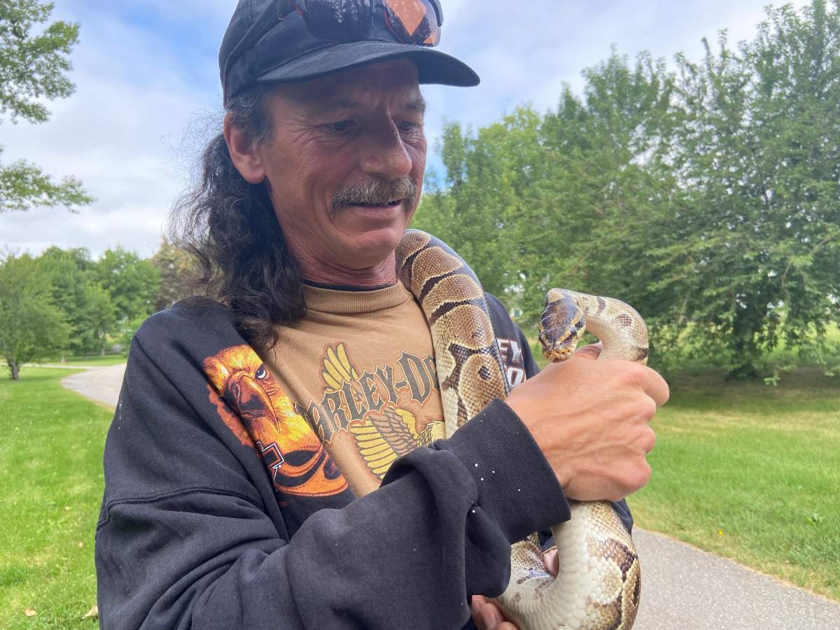 Monty the python, a pet snake in Calgary.
