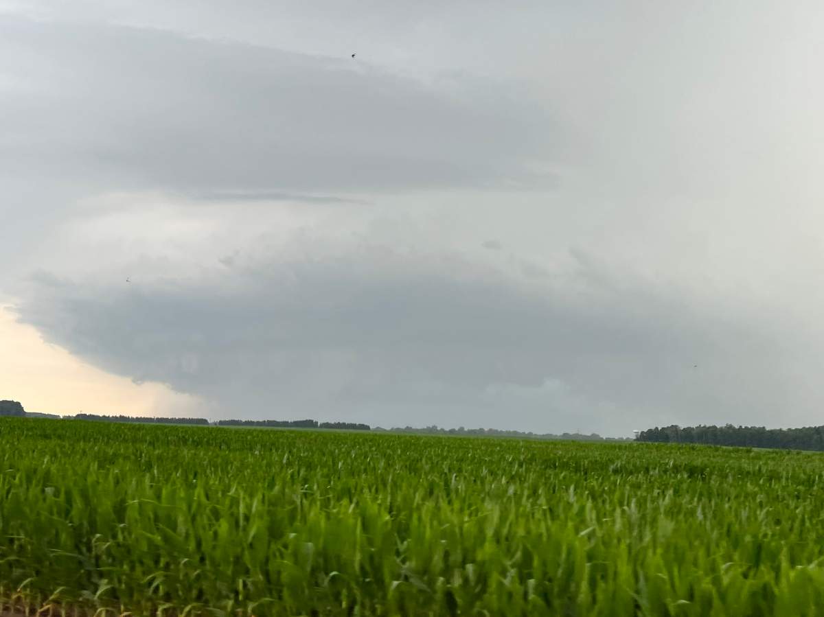 Conditions near Lucan, Ont. around 7 p.m. Wednesday.