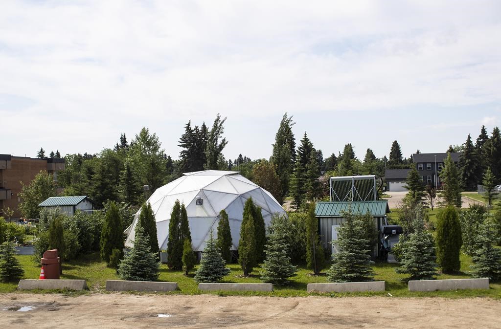 The Garden and grew house at École Secondaire Lacombe Composite High School has been shortlisted for "World's Best School Prize for Environmental Action", in Lacombe, Alta., Tuesday, June 28, 2022.