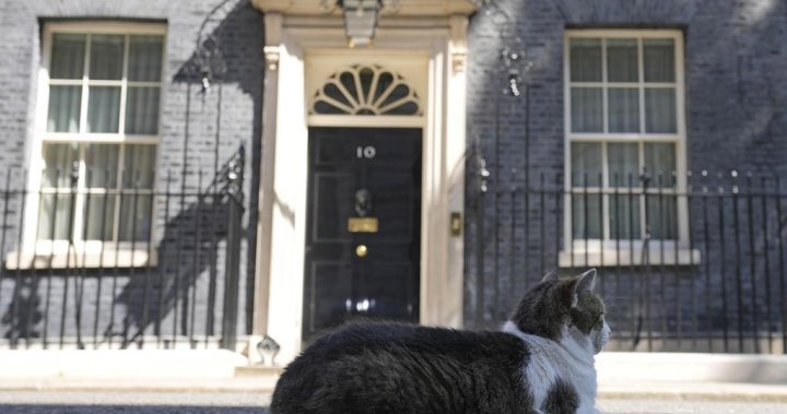 U.K. PM candidates to face off in TV debate 