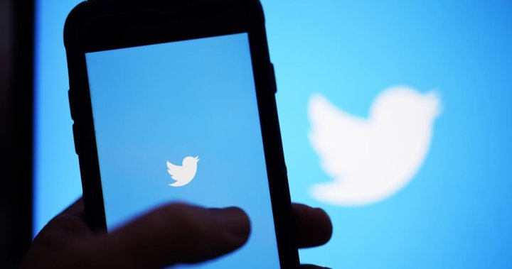 Twitter users worldwide report issues accessing social media platform