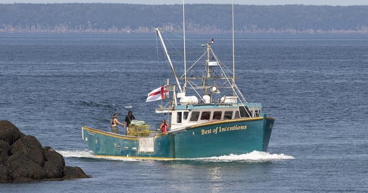 More than 50 Indigenous fish harvesters in the Maritimes charged or on trial: Ottawa