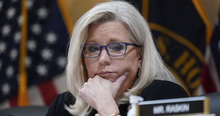 Liz Cheney loses Wyoming Republican primary in rebuke from Trump supporters