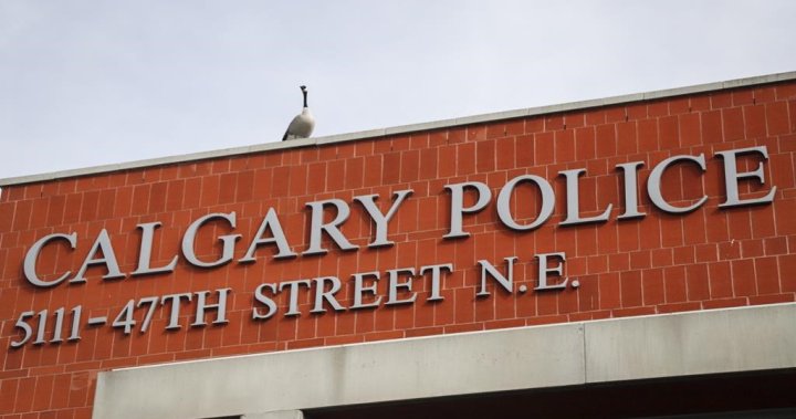 Calgary school resource officer program gets dozens of recommendations for improvement