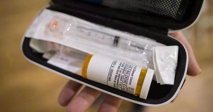 Toronto harm reduction workers call for robust safe supply program to prevent deaths