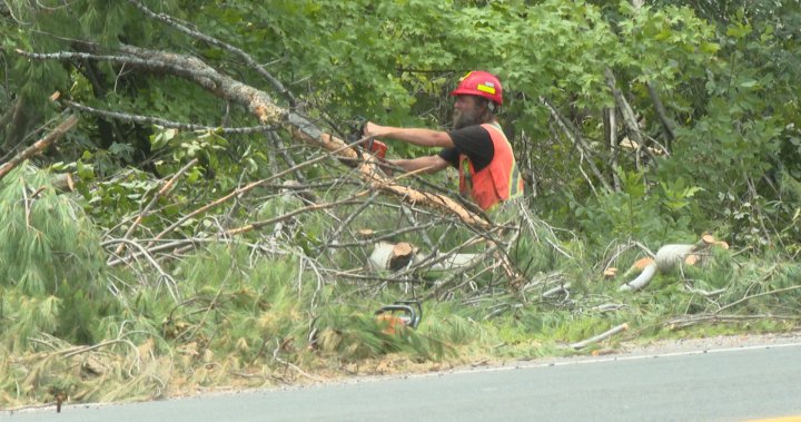 Tweed, Ont. to receive $1.2M to help with last summer’s tornado cleanup