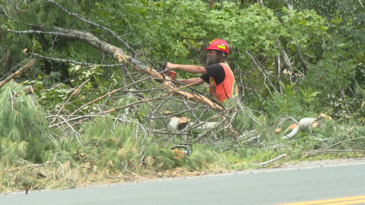 Tweed, Ont. is getting $1.2M in provincial funding for storm cleanup after a tornado touched down last summer.