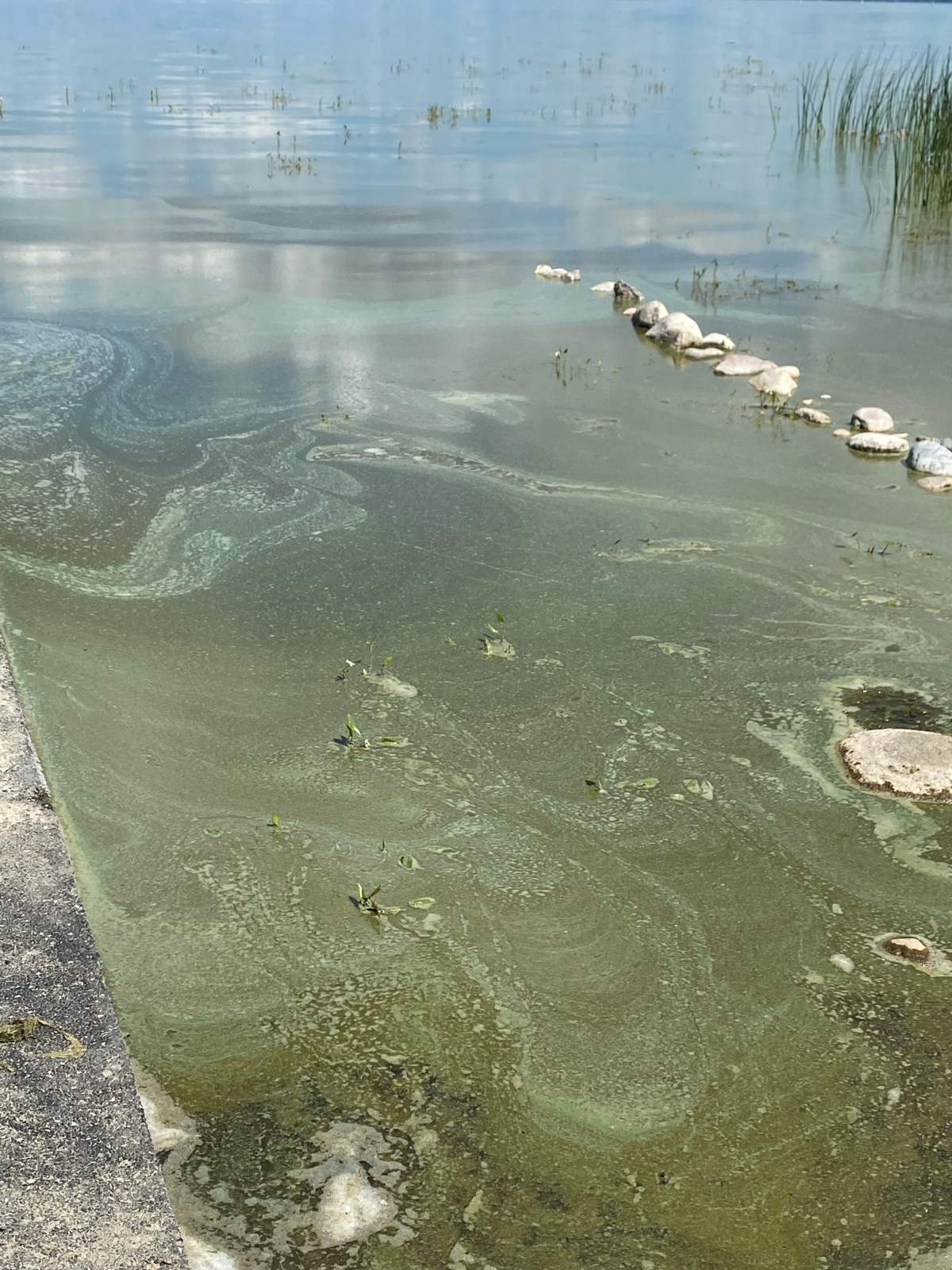 Blue-green algae in Lac Ste. Anne on Tuesday, July 26, 2022.