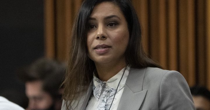 Liberal Brampton MP rules out bid to run against Patrick Brown for mayor