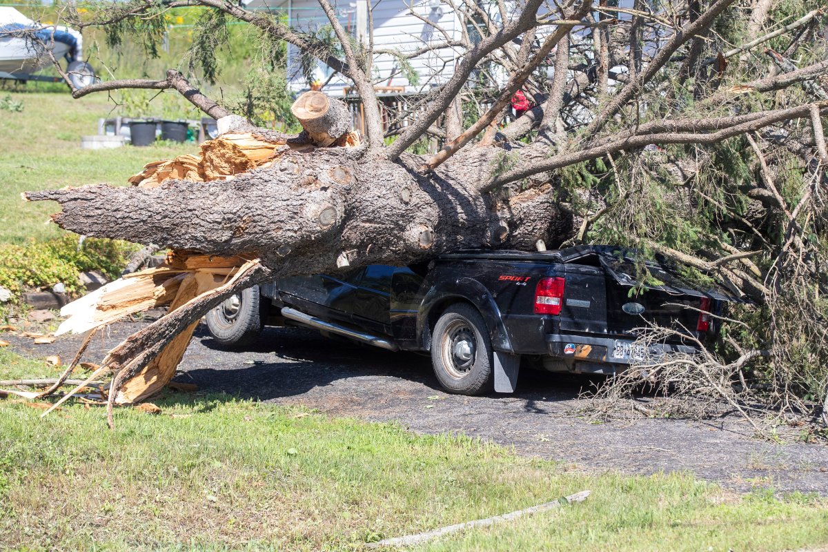A crushed vehicle from a fallen tree from the aftermath of a possible tornado is shown in Tweed, Ont., on Monday, July 25, 2022. 