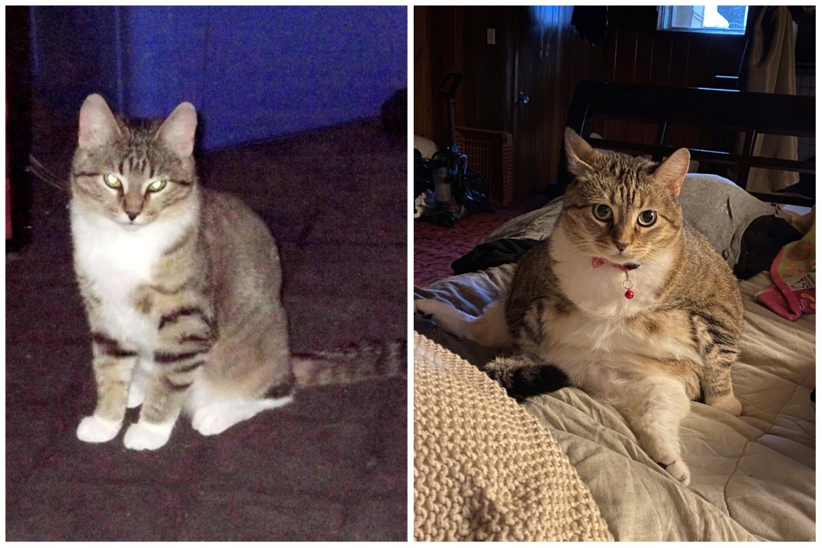 On the left, Eva before she went missing in 2013. On the right, Eva now that she’s back home.