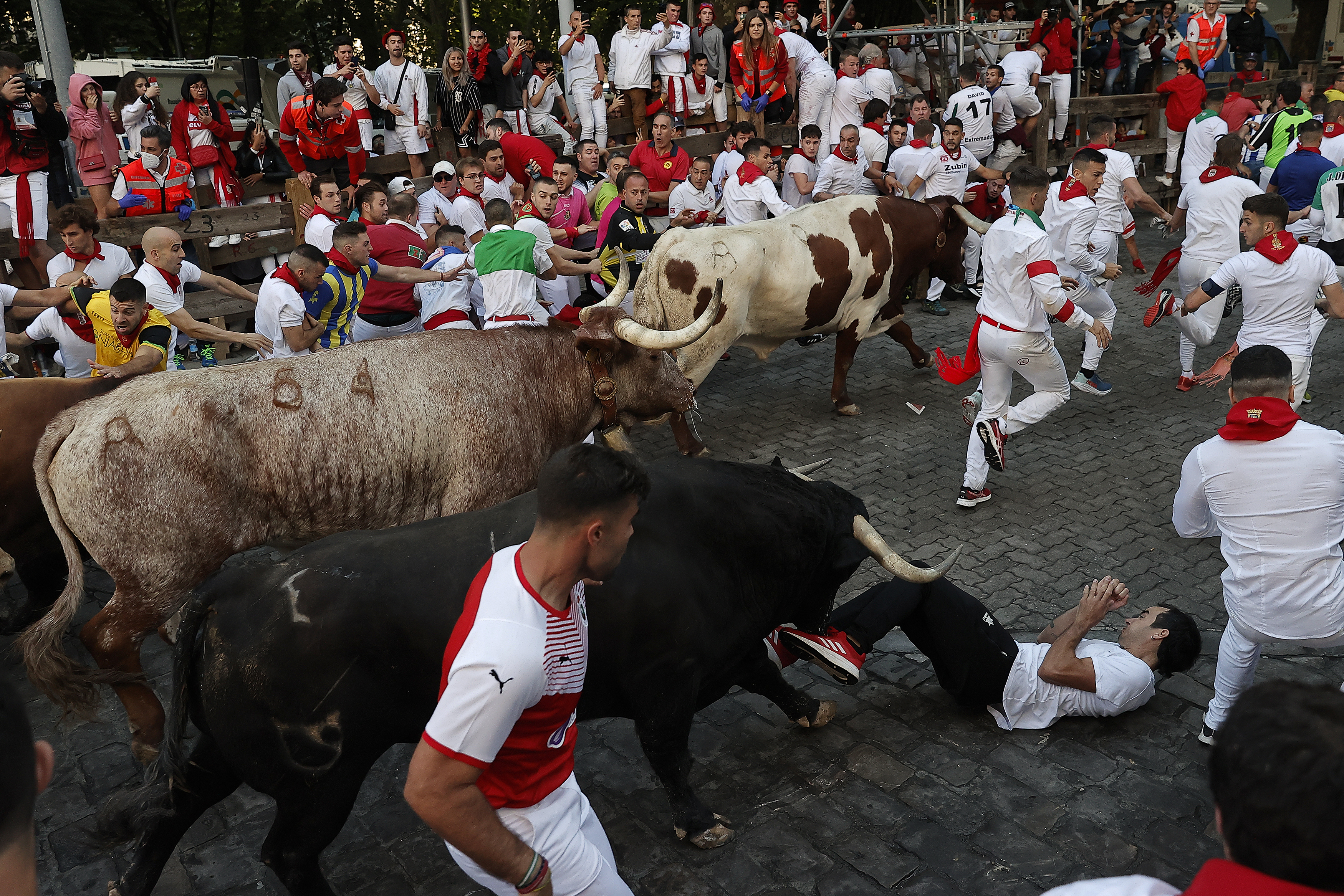 Three dead in 24 hours from goring incidents at Spanish bull run festivals  - National