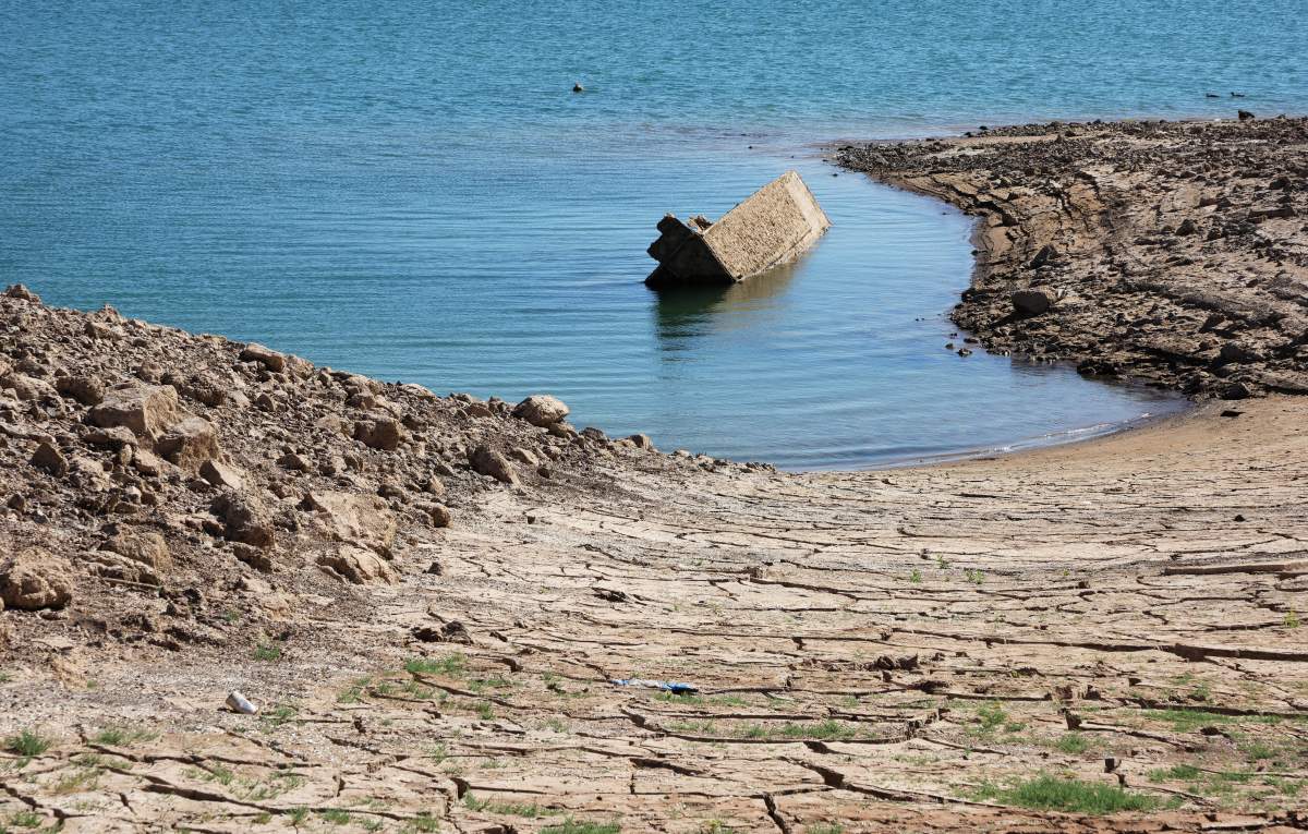 The Higgins landing craft, revealed from Lake Mead, sits halfway out of the water.