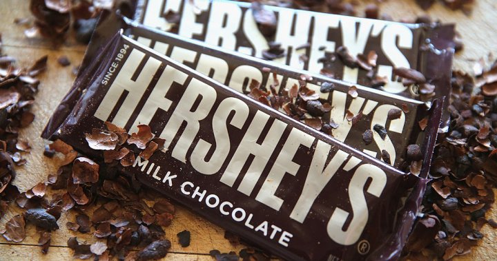 Hershey ‘evaluating’ if it can eliminate lead, cadmium in its chocolate: CFO – National | Globalnews.ca