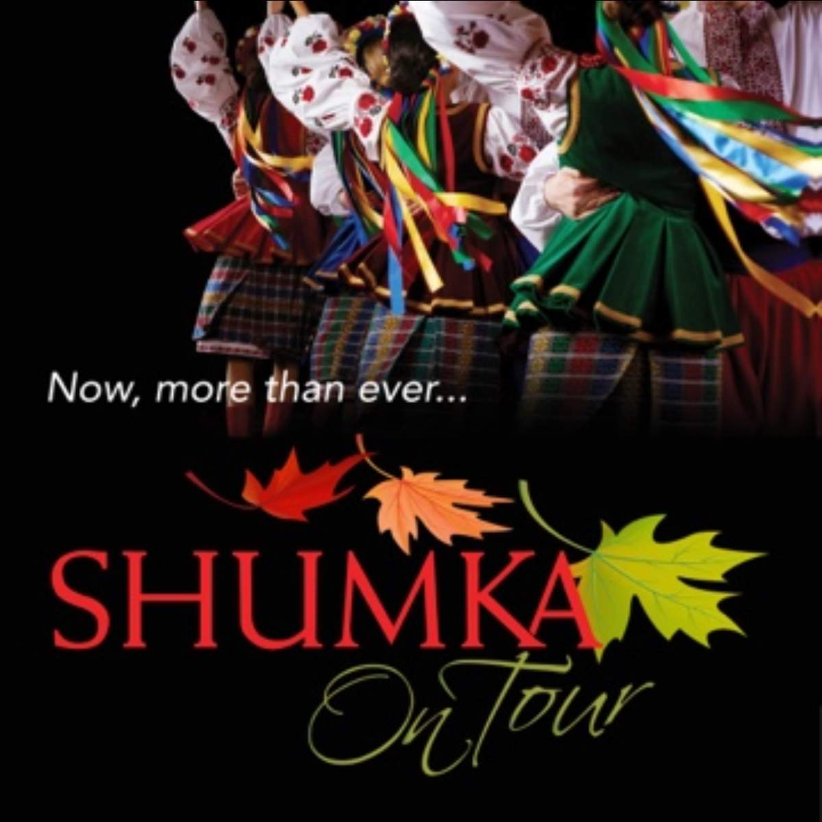 Shumka on Tour - image