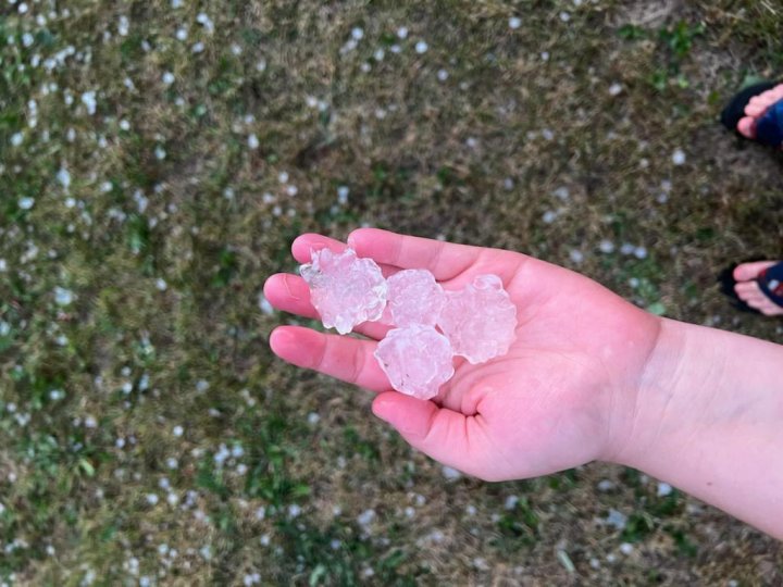 Storm that triggered tornado warning rips off roofs, uproots trees in