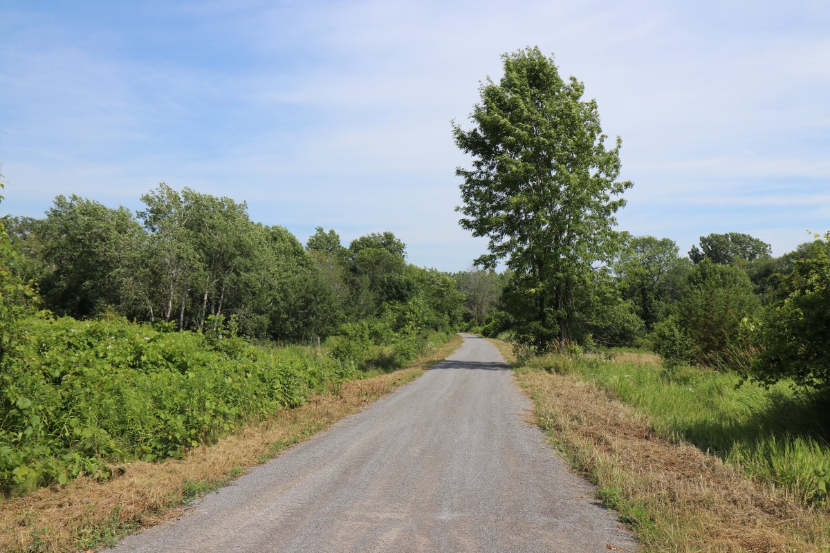Prince Edward County's Millennium Trail will be closed to the public all day on August 9 to facilitate military training.
