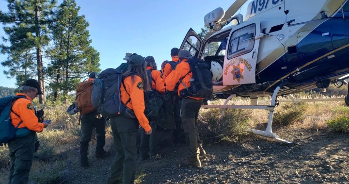 Real-life ‘Lassie’ helps rescuers find owner who took 22-metre tumble in Tahoe