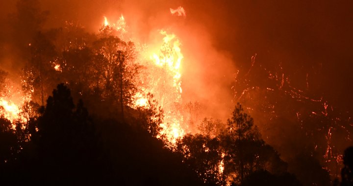Thousands ordered to flee California wildfire near Yosemite