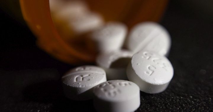 Federal government announces program to fight opioid poisoning in Edmonton