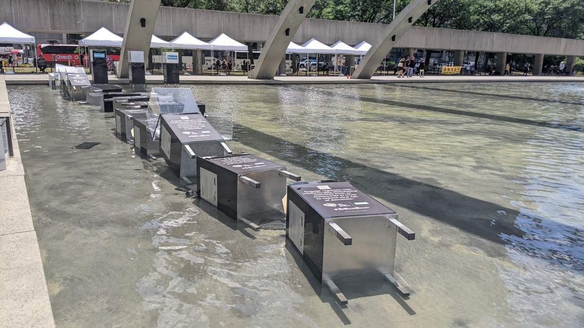 Police said a Toronto man has been charged after art installations were damaged.