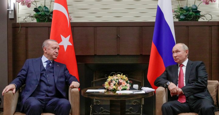 Vladimir Putin to meet with Iran, Turkey leaders for talks in Tehran – National