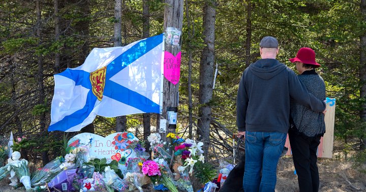 MPs to probe alleged political interference in Nova Scotia shooting investigation