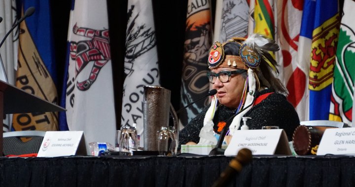 AFN to undergo financial review with RoseAnne Archibald remaining national chief