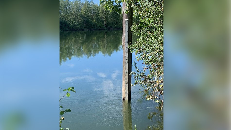 The Shuswap River Ambassadors are highly discouraging the use of inflatables, kayaks, canoes or stand-up paddleboards on the Shuswap River because of high water levels.