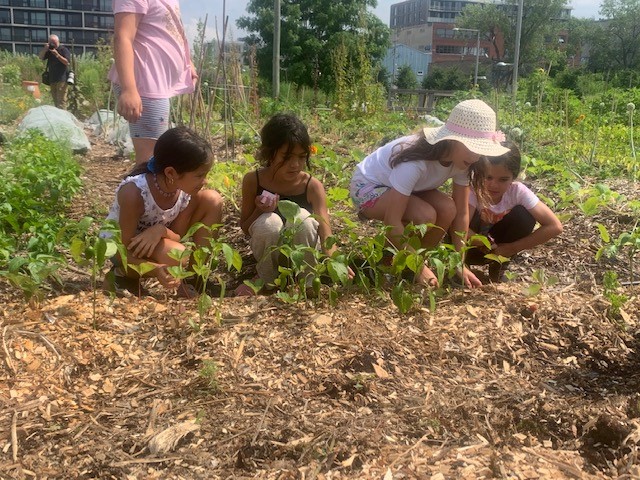 Kids learn about urban gardening during Sun Youth Day camp workshop in Outremont. July 21, 2022.