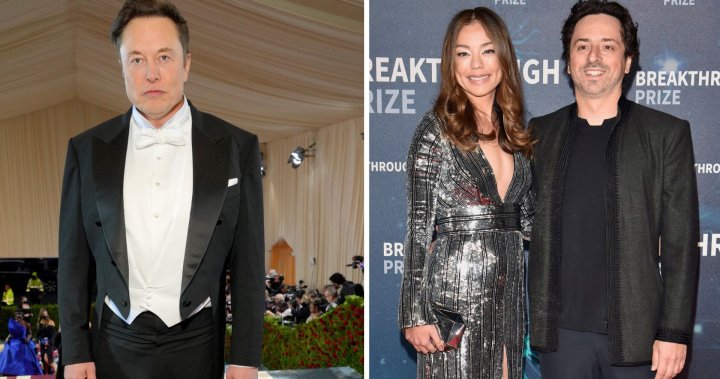 Elon Musk denies affair with Google co-founder’s wife - National ...