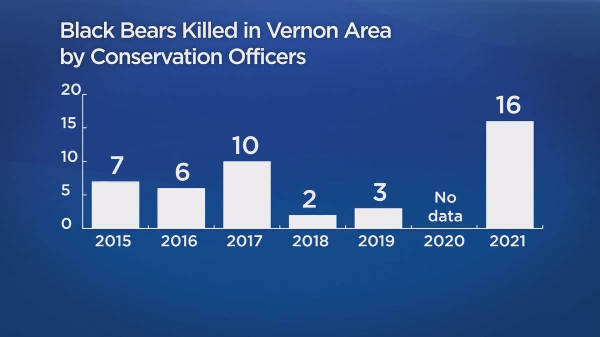 Vernon among B.C.’s ‘deadliest communities’ for black bears - image
