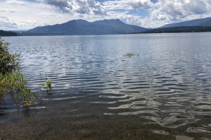 Water level in Shuswap Lake has peaked: Regional district