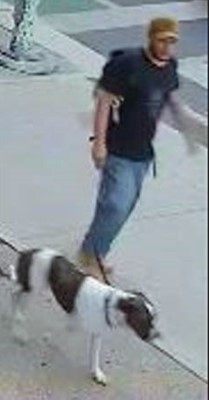 Police are searching for a suspect wanted in connection with an assault investigation in Toronto.