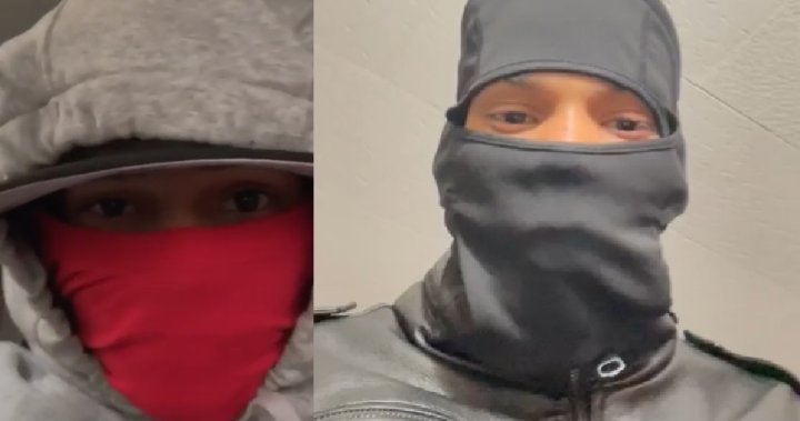 Rifle-toting fraudsters filming themselves in front of victims’ residences, say police