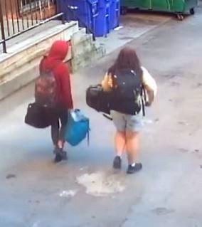 Police are seeking to identify two female suspects after a vehicle was stolen in Toronto.