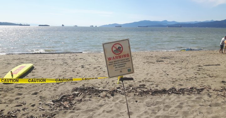 English Bay beach closed again due to high levels of E. coli