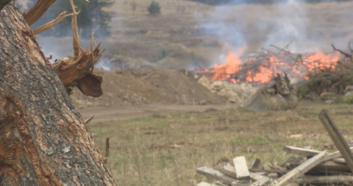 Dramatic decrease in Okanagan wildfires compared to last year