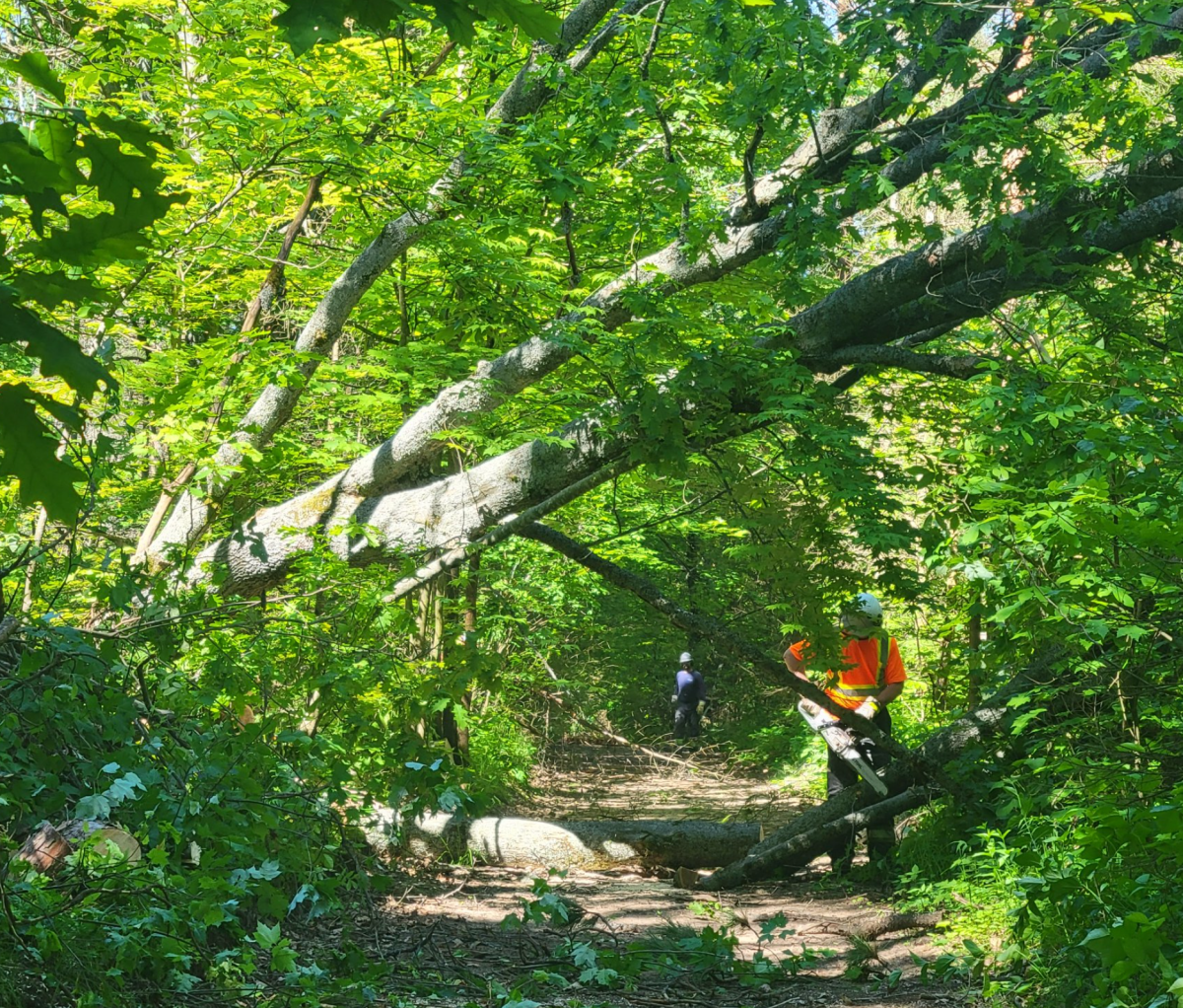 Many trails in the Ganaraska Forest remain impassable and unsafe.