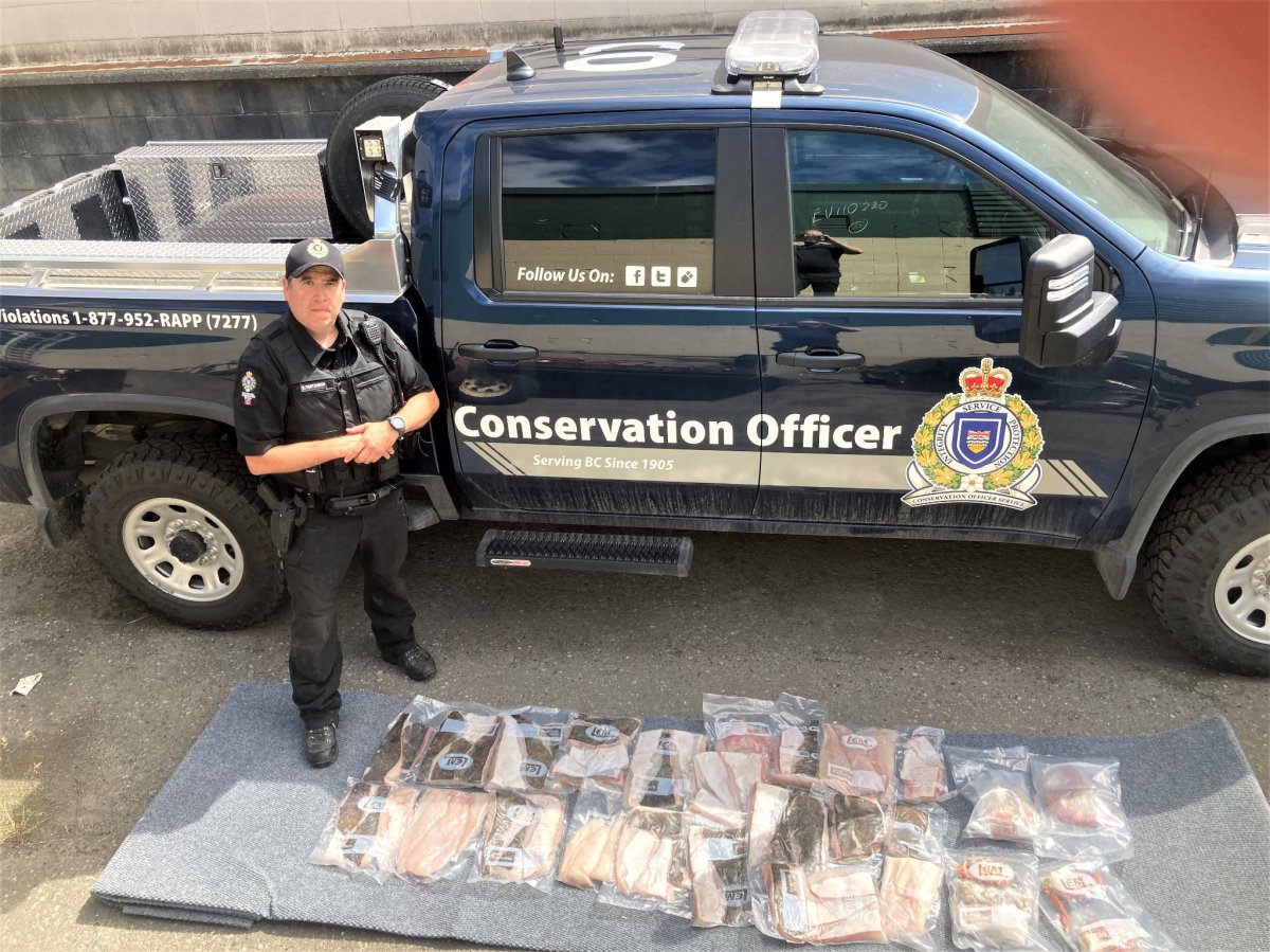 The Conservation Officer Service has seized more than 80 pounds of halibut and crab from four Albertan men.