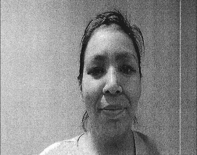 Coquitlam RCMP Looking For Missing Woman On A B.C. Mental Health Act ...