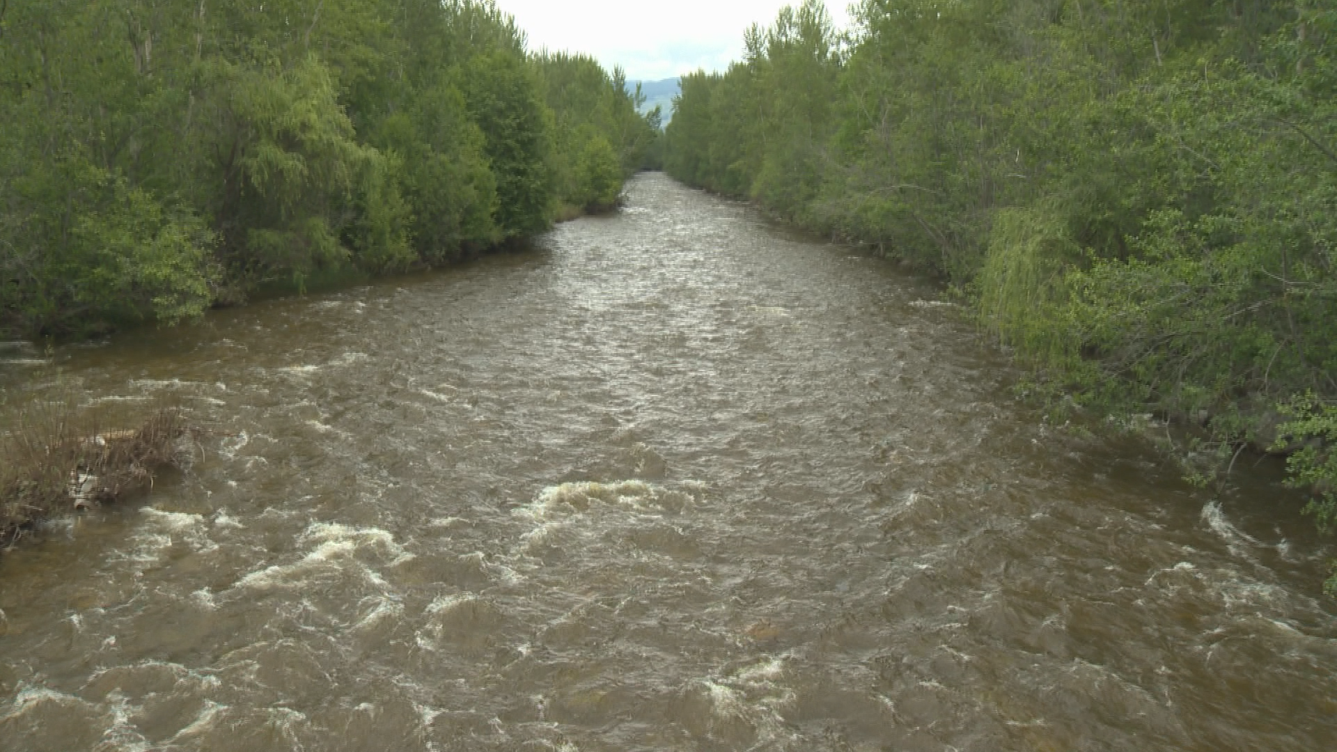 The Ministry of Forests says Mission Creek’s flow peaked on July 4 at 55 cubic metres per second and is currently flowing at 37 cubic metres per second.
