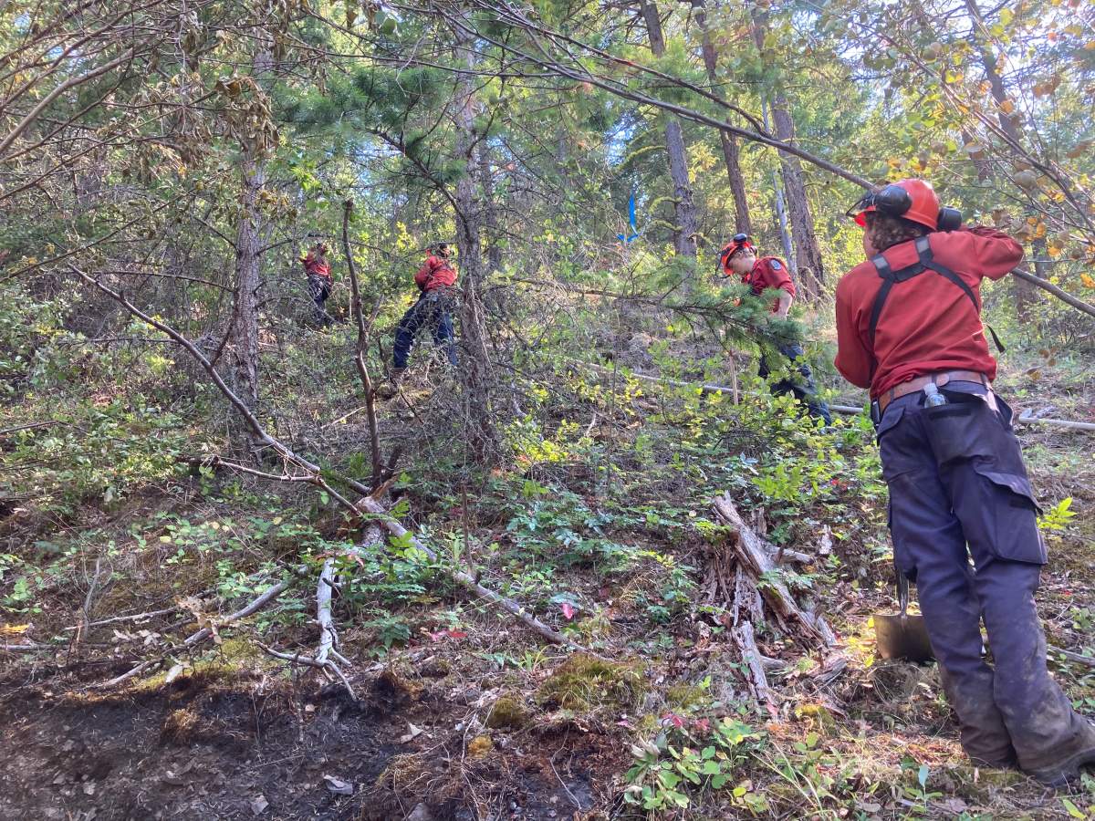 Initial attack crew personnel establish hose lay moving upwards along a steep slope on July 19.