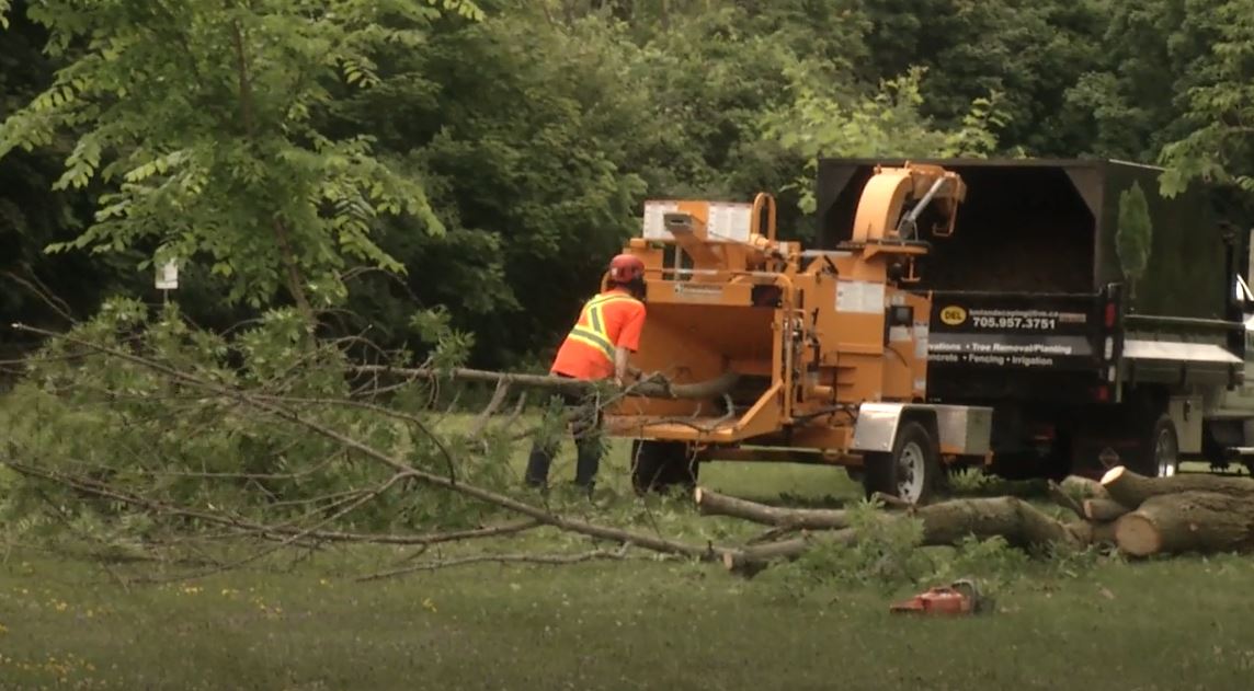 Crews clean up tree and brush debris at Franklin & Hilliard Park in Peterborough on July 6, 2022.