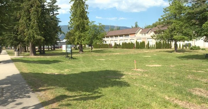 Sicamous, B.C. residents argue health facility site should be a park