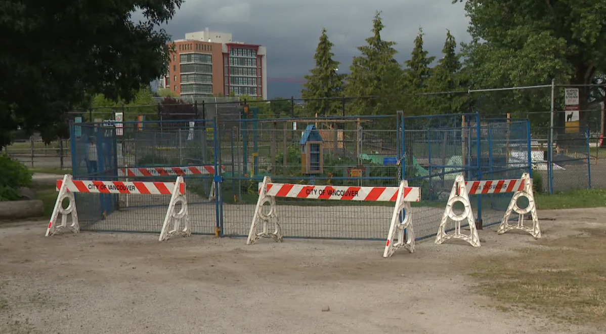 Fencing in a closed area of Vancouver's Strathcona Park. 