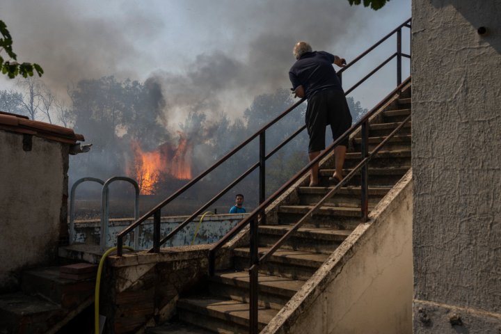 Europe heat wave: Photos show impact of wildfires, extreme heat