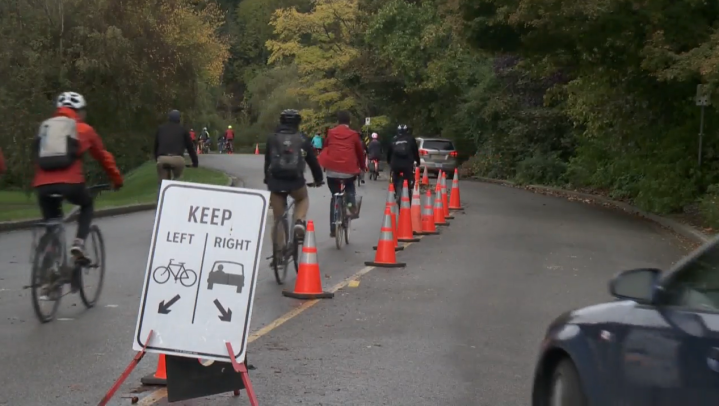 Vancouver Park Board Completes Removal Of First Section Of Stanley Park