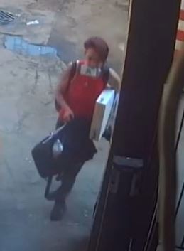 Police seek to identify 2 women after FedEx vehicle stolen in Toronto - image